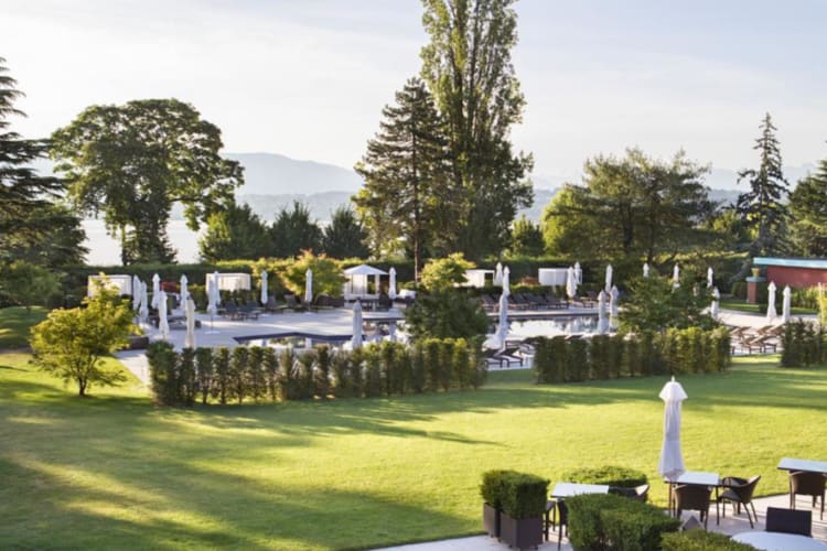 Garden and pool